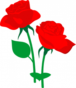 Roses Red | Free Stock Photo | Illustration of two red roses | # 9653