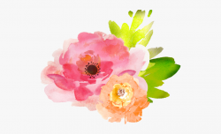 Flowers Color Clipart Pretty Flower - Pink Watercolor Flower ...