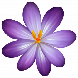 Purple Crocus Flower PNG Clipart Image | Gallery Yopriceville ...