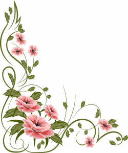 flowers, painting Illoustrator, PNG file | Frames and Boarders ...