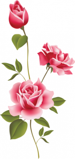 PINK ROSES CLIP ART | CLIP ART - SPRING - CLIPART | Rose art ...