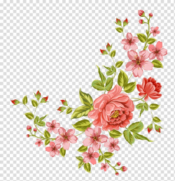 Flower , Corner flower, pink flowers transparent background ...