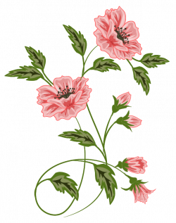 flowers, vector | flora pattern | Pinterest | Flowers, Flower ...