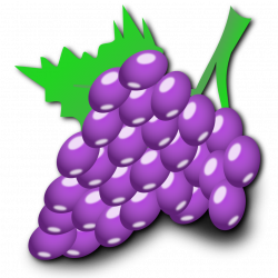 Public Domain Clip Art Image | Grapes | ID: 13546105819206 ...