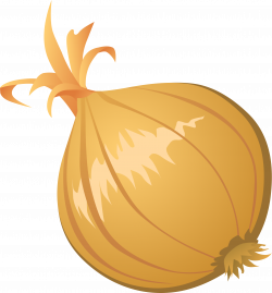 Clipart - Food Onion