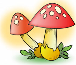 Romanov Mushroom Clip Art at Clker.com - vector clip art online ...
