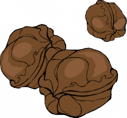 Walnuts Clip Art at Clker.com - vector clip art online, royalty free ...