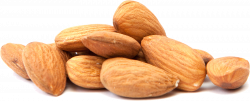 Almond milk Clip art Nut Food - almond milk png dates png ...