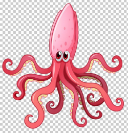 Squid As Food Octopus PNG, Clipart, Cephalopod, Clip Art ...