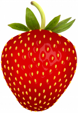 Strawberry PNG Free Clip Art Image | Gallery Yopriceville - High ...