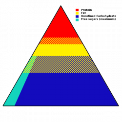 Food pyramid (nutrition) - Wikiwand