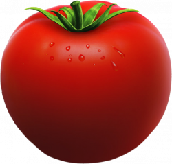 Tomato Vegetable Clipart Cut Out - 16712 - TransparentPNG
