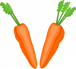 Carrot clipart half eaten - Pencil and in color carrot clipart half ...