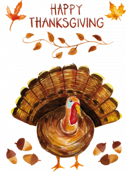 Turkey Watercolor painting Thanksgiving - Thanksgiving turkey ...