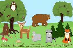Woodland Forest Animal Clip Art ~ Illustrations ~ Creative Market