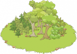 28+ Collection of Forest School Clipart | High quality, free ...