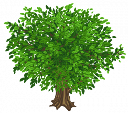 Большой Green Tree Прозрачный PNG изображения Clipart | Деревья ...