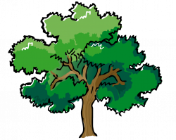 Trees tree clipart free clipart images 2 - Clipartix