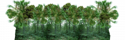 Tropical forest Jungle Clip art - forest 1600*512 transprent Png ...