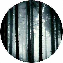 circle dark forest scary icon base iconbackground...