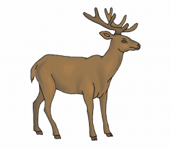 Deer Clipart - Deer Clipart Gif Free PNG Images & Clipart ...