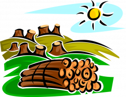 Clearcutting Deforestation Stumps and Logs - Vector Image