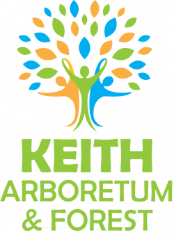 Keith Forest — Keith Arboretum