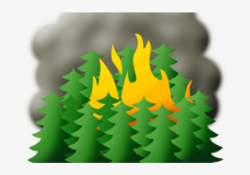 Flames Clipart Wildland Fire - Wild Fires Clip Art PNG Image ...