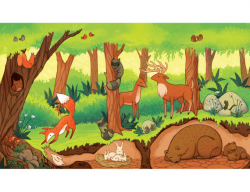 Forest Ecosystem Clipart