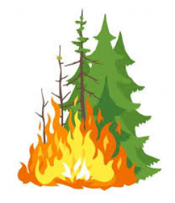 Burning Restrictions Reduced | City of Myrtle Point Oregon ...