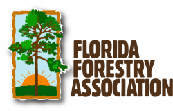 Nongovernment Organizations - Directory - Florida Forest Stewardship ...