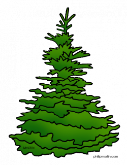 Utah State Tree - Blue… | CLIP ART TREES FOR ANIMATED POWER POINTS ...