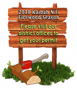 Kaibab National Forest - Forest Products Permits