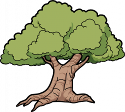 Oak Tree Clipart (49+) Oak Tree Clipart Backgrounds