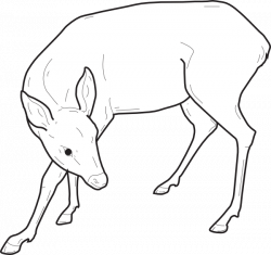 Deer Outline Looking Back Clip Art at Clker.com - vector clip art ...