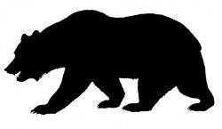 Silhouette of bear jogging through the forest. A forest animal ...