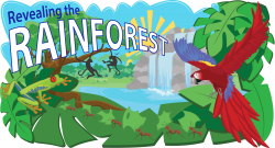 tropical rainforest clipart 9569156 green forest background - Clip ...