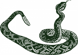 Forest Green Snake Clip Art at Clker.com - vector clip art ...