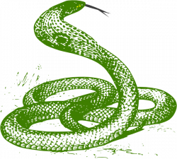 Green Snake Clip Art at Clker.com - vector clip art online, royalty ...