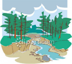 Small Creek In the Forest - Royalty Free Clipart Picture