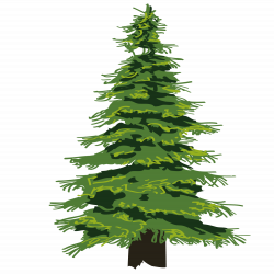 Evergreen Tree Pine Drawing Clip art - Cartoon fine jungle 1500*1501 ...