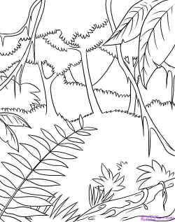 8 Biome drawing tropical evergreen forest for free download ...