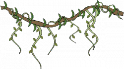 ivy-clipart-rainforest-vine-10.gif 300×169 Pixel | Vines in ...
