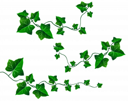 Vine Leaves Decoration PNG Clipart Picture | Digiscrap Photoshop ...