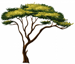 african-tree-clipart-1.jpg (4792×4120) | tree art and illustration ...