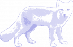 Public Domain Clip Art Image | Arctic fox | ID: 13925433016540 ...