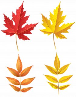 Autumn Leaves Set PNG Clip Art | Gallery Yopriceville - High ...