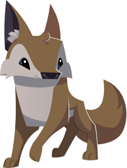 Image - Coyote graphic thing.png | Animal Jam Wiki | FANDOM powered ...