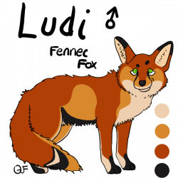 Ludi - Male Fennec Fox