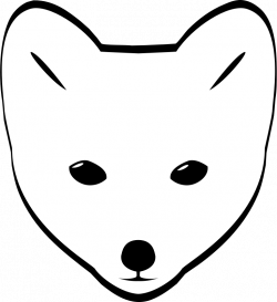 28+ Collection of Arctic Fox Drawing Face | High quality, free ...
